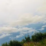 なー坊の画像