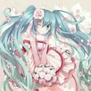 ノンちゃん