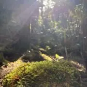 MNの画像