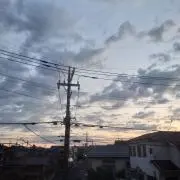 かわの画像