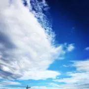 blue05の画像