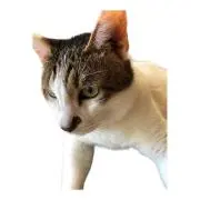 まーくんの画像