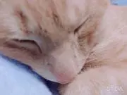 miyaの画像