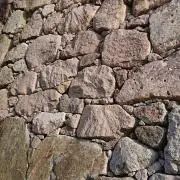 およの画像