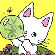 momoの画像