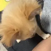 ミツ密屋さん