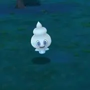 みの画像
