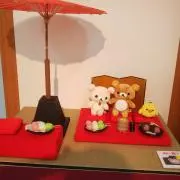 ソラの画像
