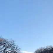KINOの画像