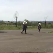 kaki