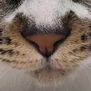 310の画像