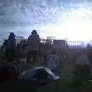 いぬの画像