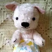 hiba