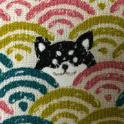 ウィルの画像
