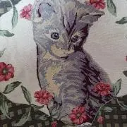りこ本(プロフ必読)の画像
