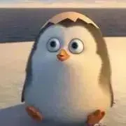 Tの画像