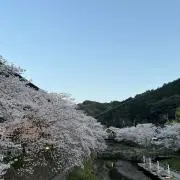 yoneの画像