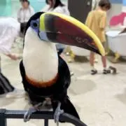 くちぱの画像