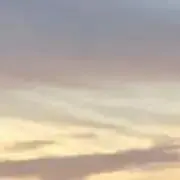 wemの画像