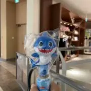 ゆの画像