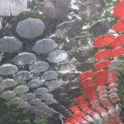 るなの画像