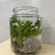彦