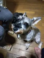 ムックの画像
