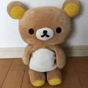 ぽこの画像