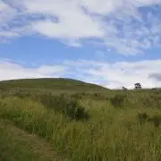 ろまの画像