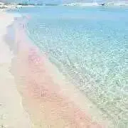 mymeeの画像