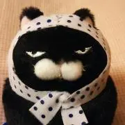 hiroの画像