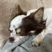 めるの画像
