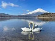 Amo★おまとめ割、賜ります！の画像