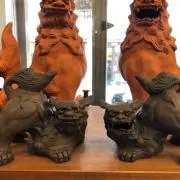 松樹の画像