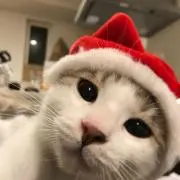 みなぼう