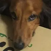 ジャック