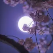 shunharu