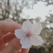 Ri▶︎グッズ処分中