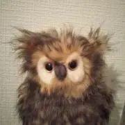 hukuの画像