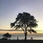 SHANTI☆プロフ必読の画像