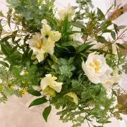 mfyu☆即購入OK☆即日配送の画像