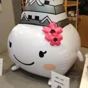しゃけの画像