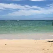チュラビ