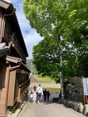 25kyonkyonの画像