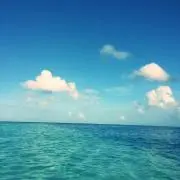 Loco