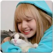 Lisaの画像