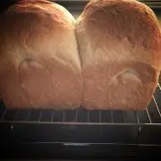 こぐまちゃんの画像