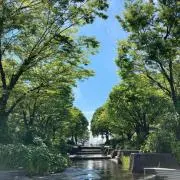 りょうの画像