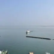 はなの画像