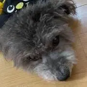 小四郎